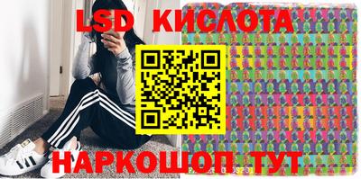 прущие крисы Будённовск