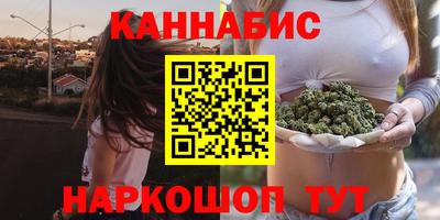 прущие крисы Будённовск