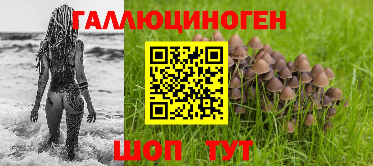 Чехов  Псилоцибиновые грибы Psilocybe  Вход с VPN 